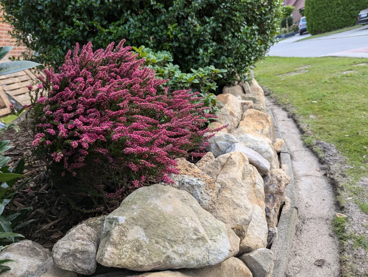 A sandstone wall we put together in late summer