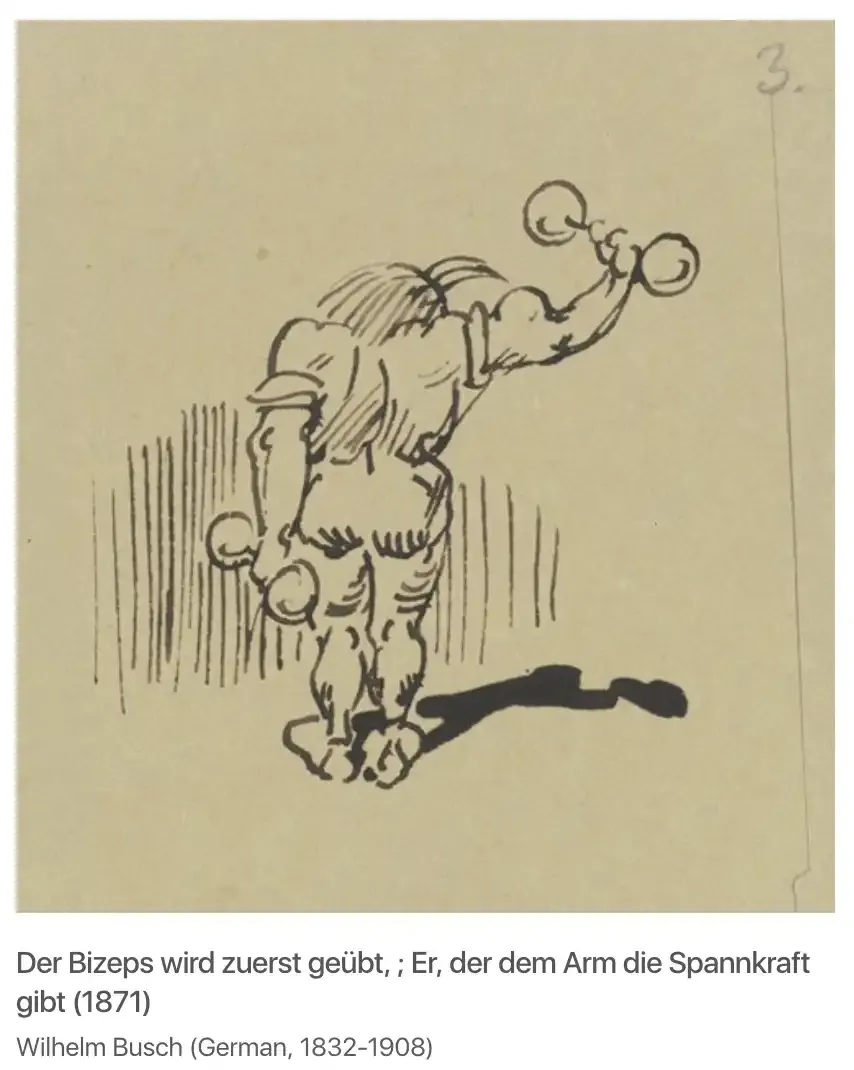 A sketch from 1871 saying "Der Bizeps wird zuerst geübt, ; Er, der dem Arm die
Spannkraft gibt"