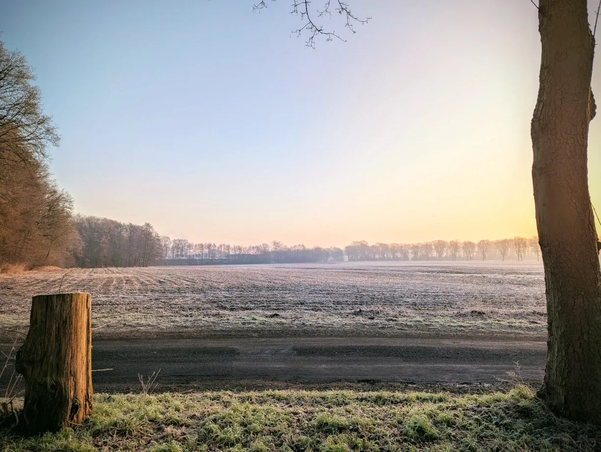 Winter landscape at one of our favorite walking spots
